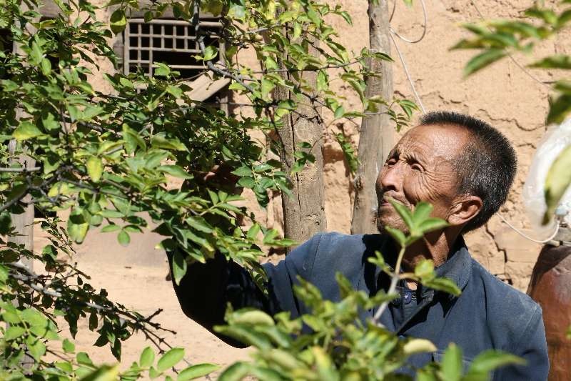 "天生六指就是贱命相,村里有这样的说法,所以没有女人敢嫁给我.