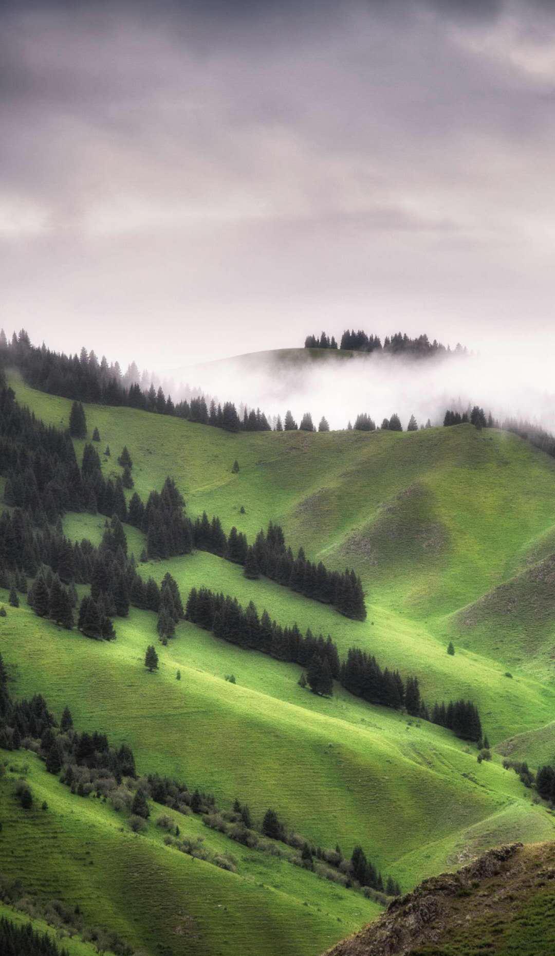 远海却有近海之景色,万绿却有黄堡点缀|天山山脉|奇石|临海_新浪新闻