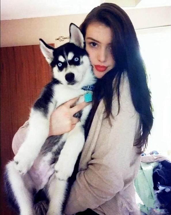 二哈因生气表情走红还治愈了主人的抑郁症