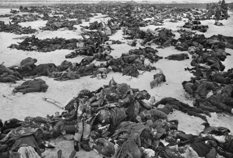 人命不如狗,快赶上抗战阵亡士兵的一半!】