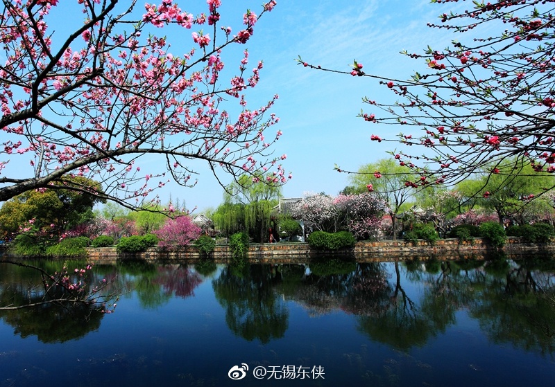 无锡蠡园三面环水,春天的时候,桃花盛开,拂堤春晓,景色迷人