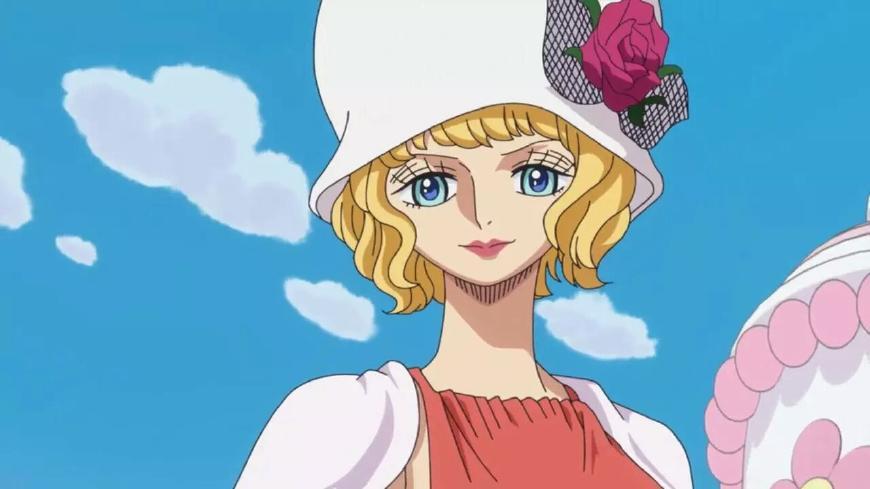 海贼王中世界政府为何派出史翠西去蛋糕岛原因只有这四个