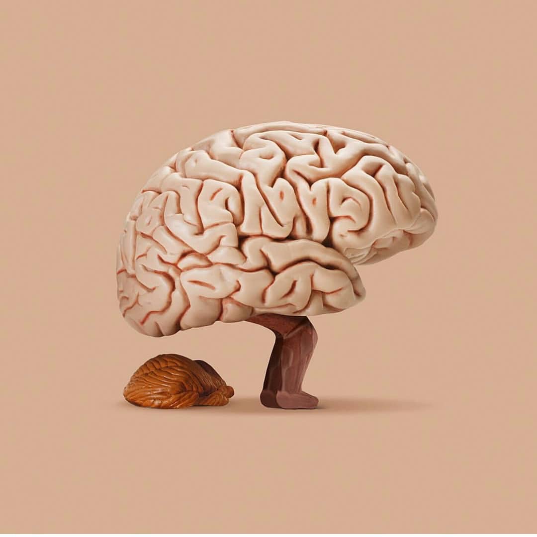 创意设计师jose navarro