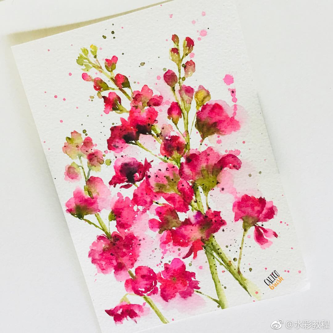 水彩花卉作品欣赏by ins: calico_brush
