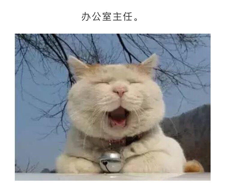 单位各部门领导的表情包使用方法,完全一毛一样,没毛病哈哈哈哈