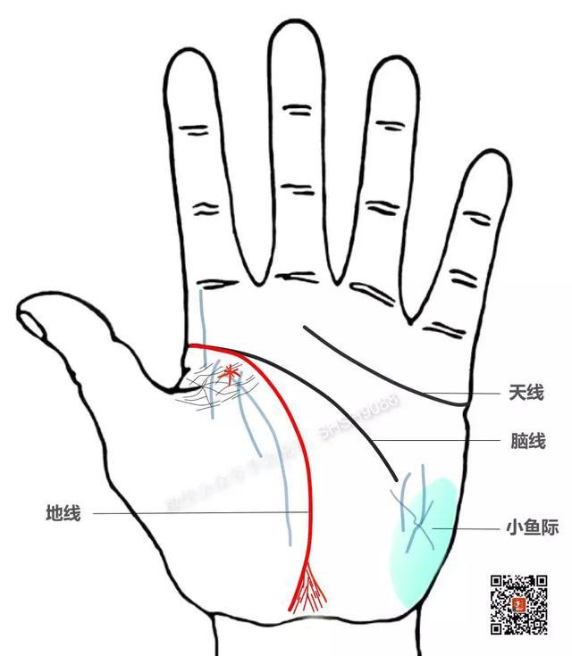 小孩睡眠不好,看这找原因,送您调理方法