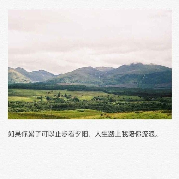 为何最好的我们下载成为热门话题？深度解析