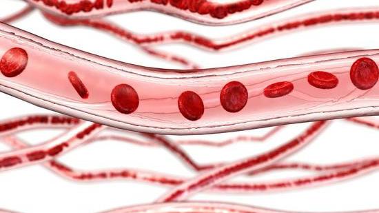 血液粘稠别着急!多吃五种血管"清道夫",血液干净人年轻!