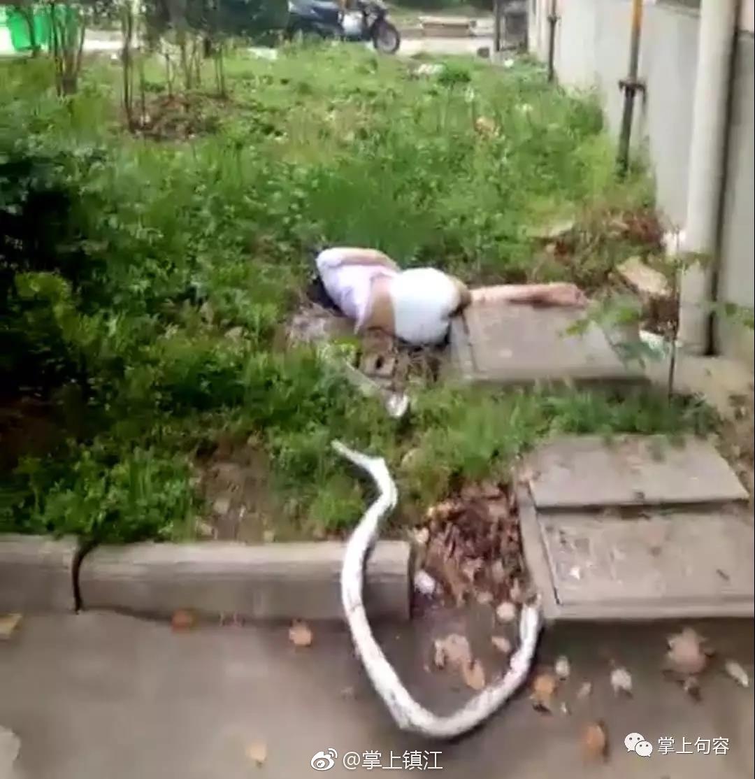 句容玉清苑的坠楼小女孩抢救无效身亡