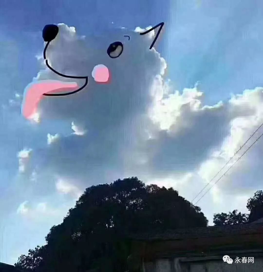 太美了!永春上空惊现形状各异的云,太萌了刷爆朋友圈!
