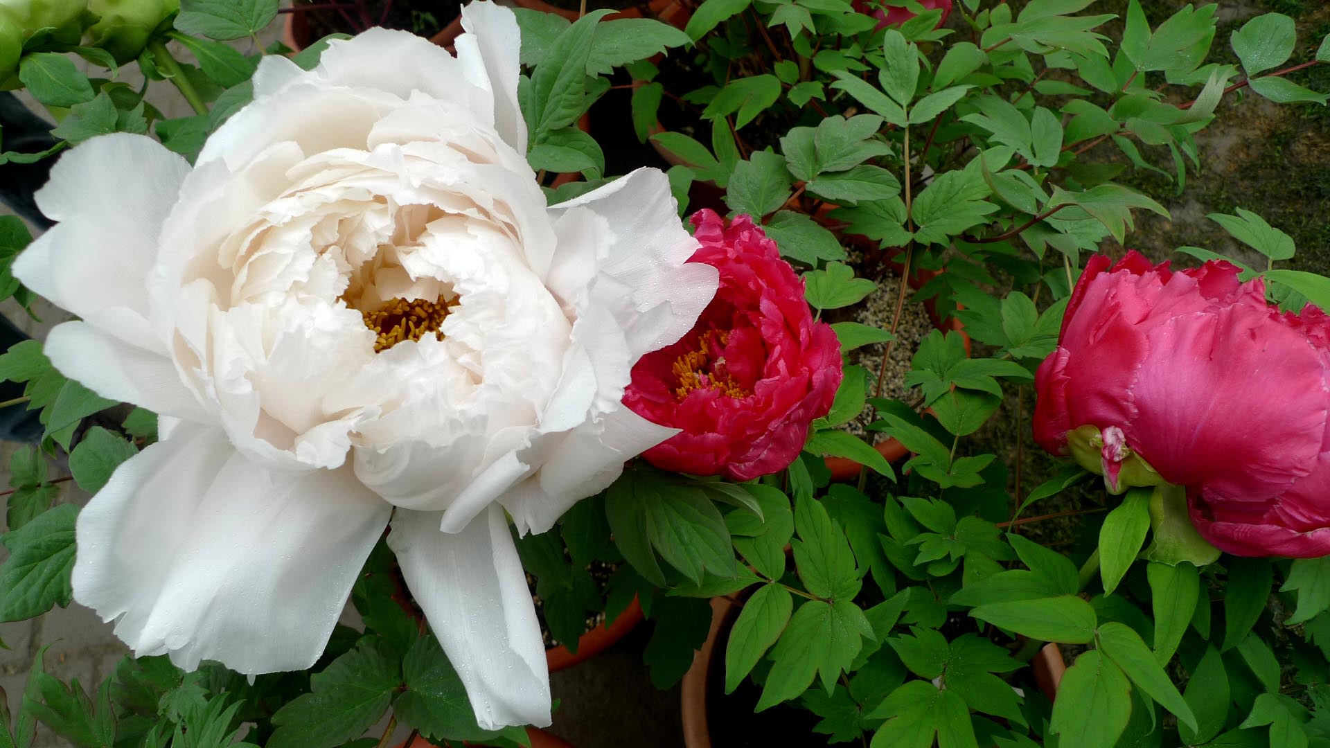 一件事,教你一生不再生气