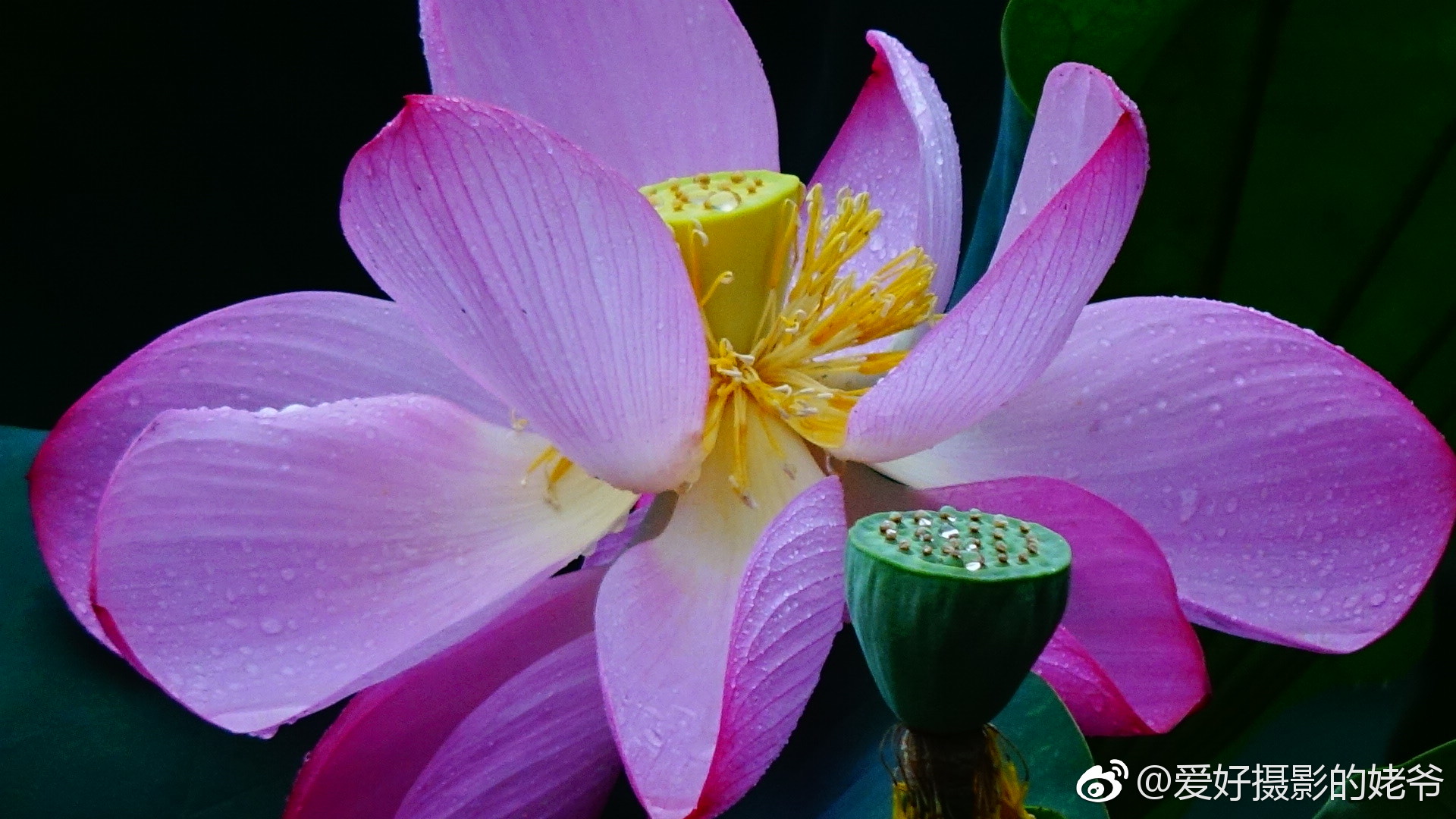 冷色系.(不要过份相信,全自动的白平衡.中景和全景色温较正常