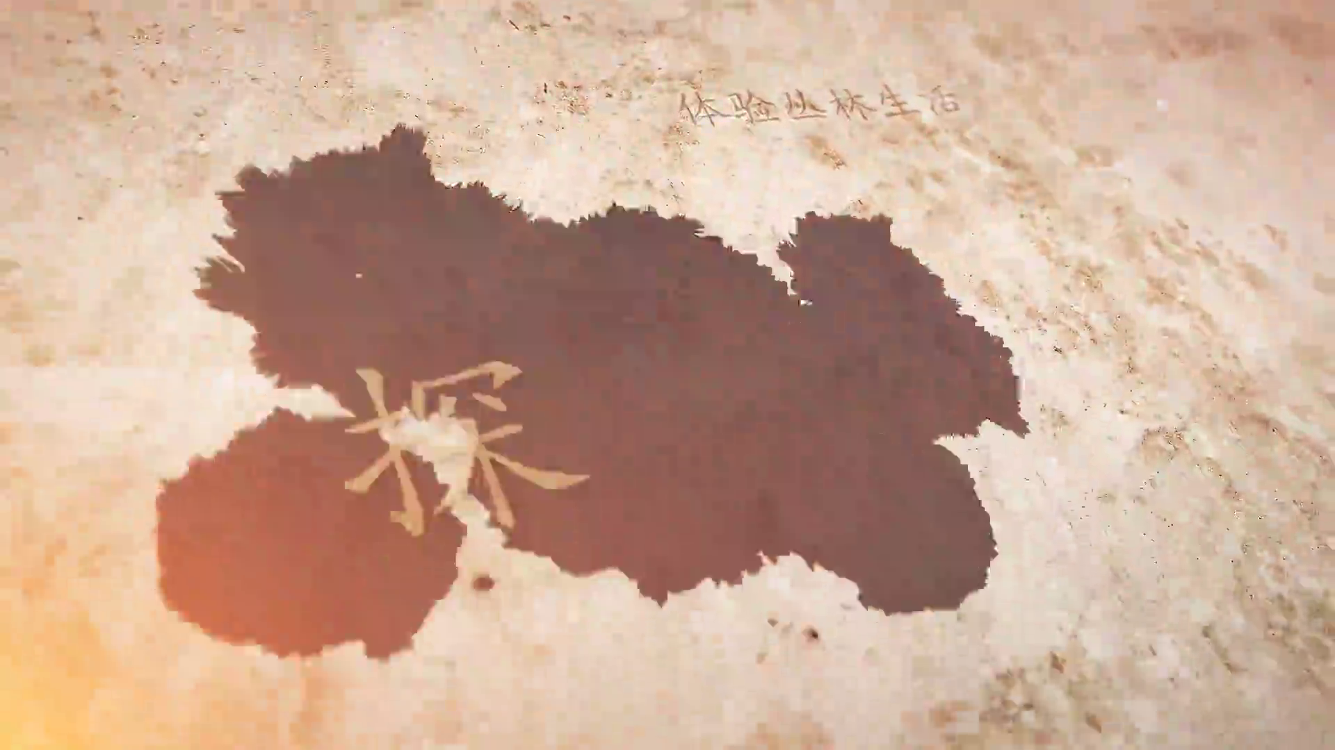 广东顺德最好吃的煲仔饭饭香肉嫩最便宜的50