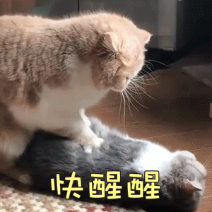 男子为情同归于尽名牌大学毕业生隐居深山十年称已看破红尘