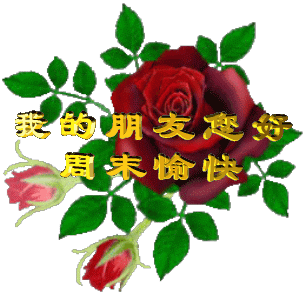中午好美美的祝福问候gif动态图片送给好朋友们