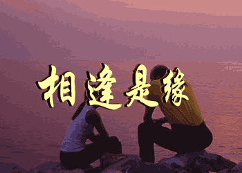 中午好!美美的祝福问候gif动态图片送给好朋友们|问候|要则|痛苦_新浪新闻