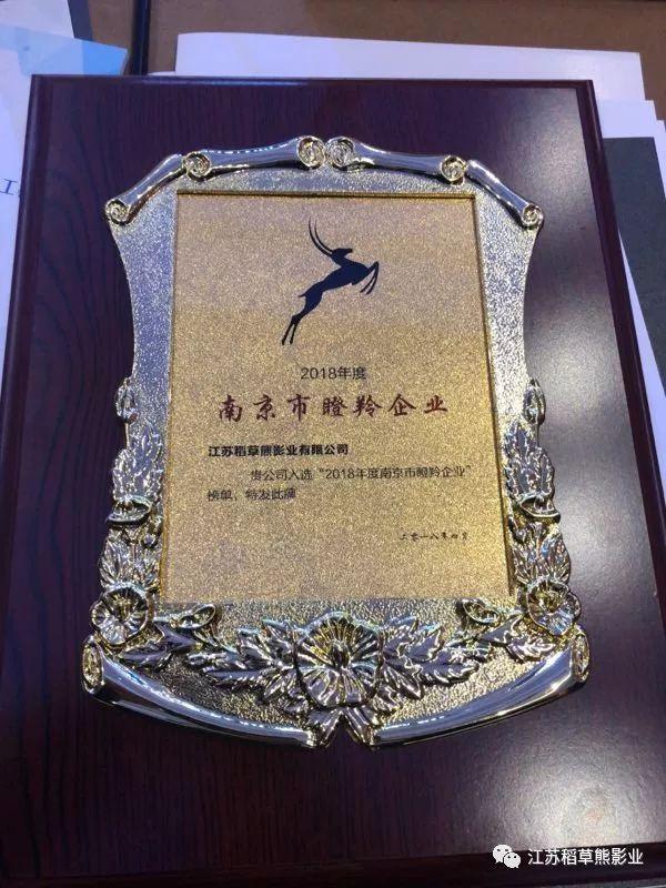 江苏稻草熊影业入选首批"2018年度南京市瞪羚企业"