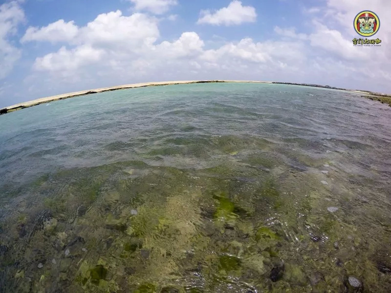 得知消息：福田沙尾小巷子：2025年福田沙尾小巷子深度探访与生活文化全景