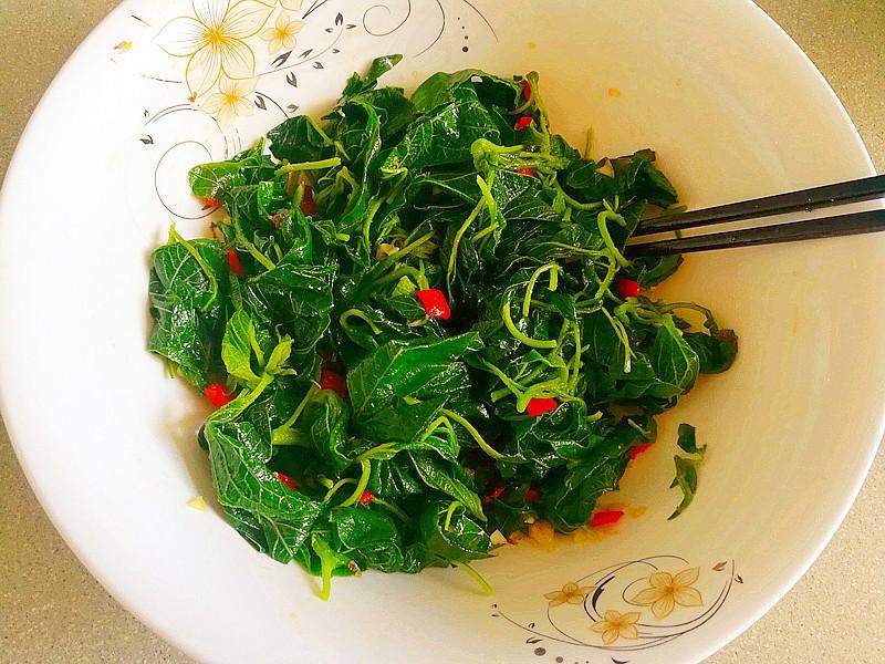 90岁爷爷身体强健,无病无痛,只因为常吃这野菜健康长寿