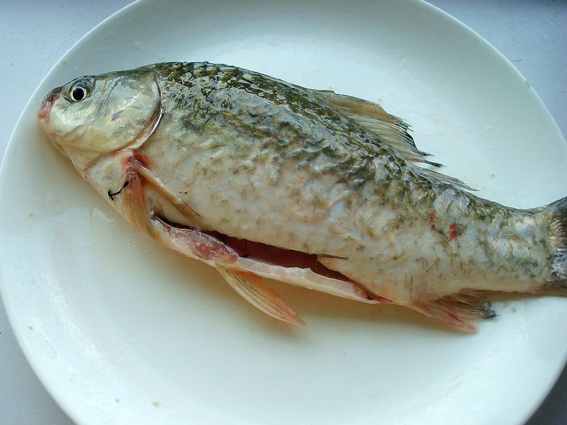 中秋节就这样吃鱼,又鲜又嫩,1分钟能学会,一辈子都能用|鲫鱼|鱼|鼓油