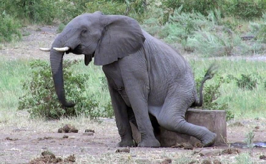 套圈游戏趣味名字