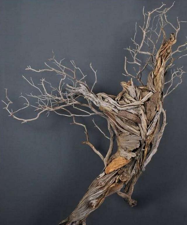 他把一堆没有价值的朽木带回家后,最后竟让大家惊得目瞪口呆