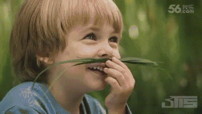 400_226gif 动态图 动图