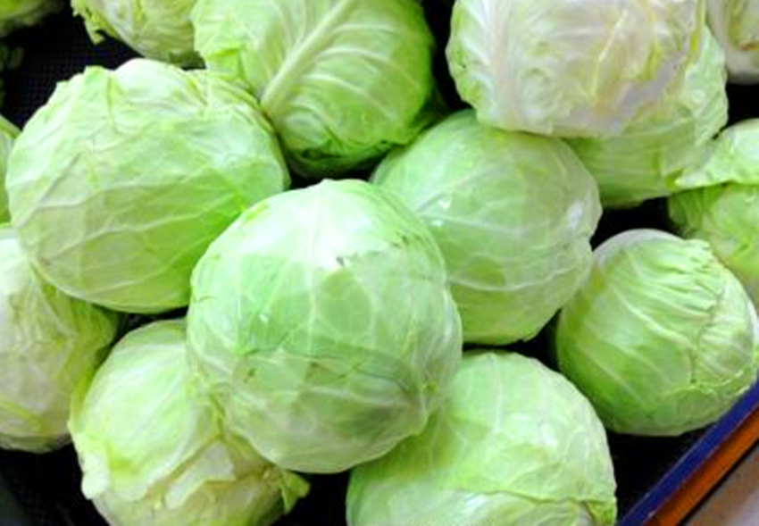教你如何选购新鲜的包菜,做出一道清香可口的小炒包菜!