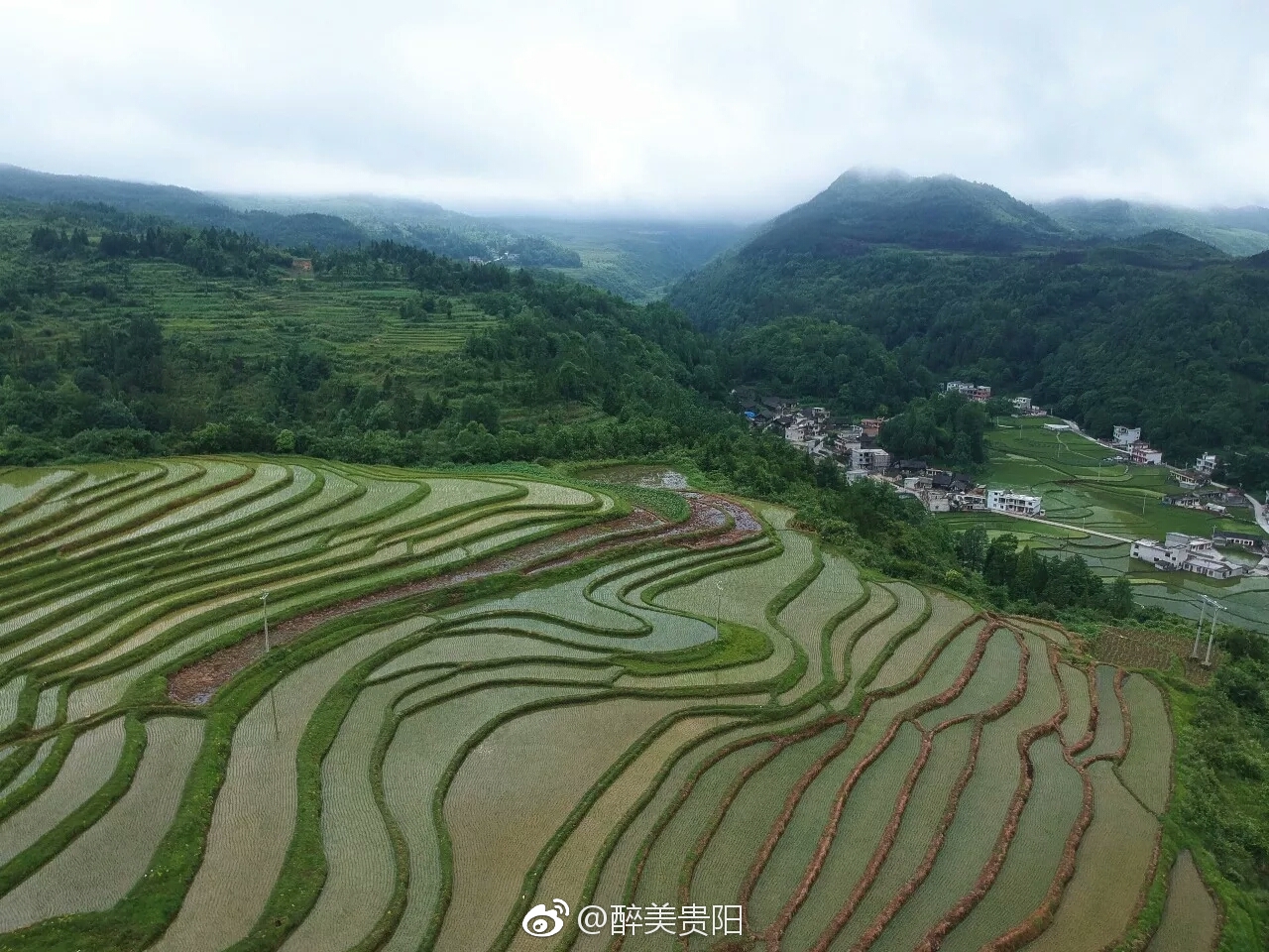 贵州省龙里县洗马镇关口村棉花坡格外清新