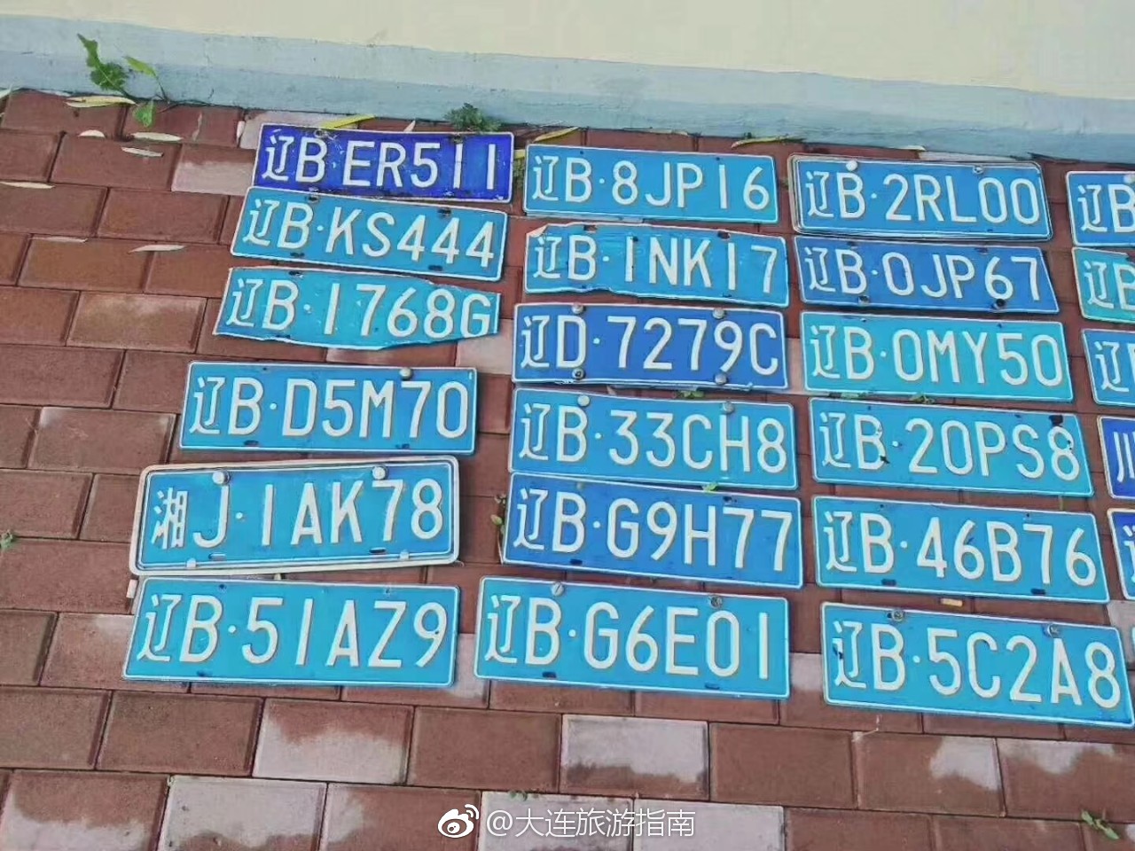 一场大雨过后,留下一地车牌