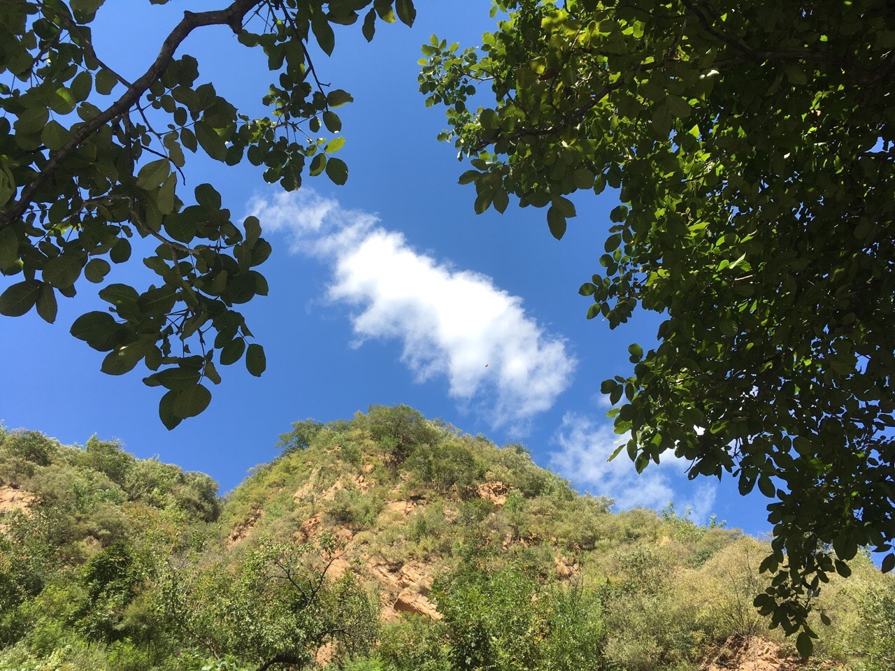 北京神泉峡的秋天