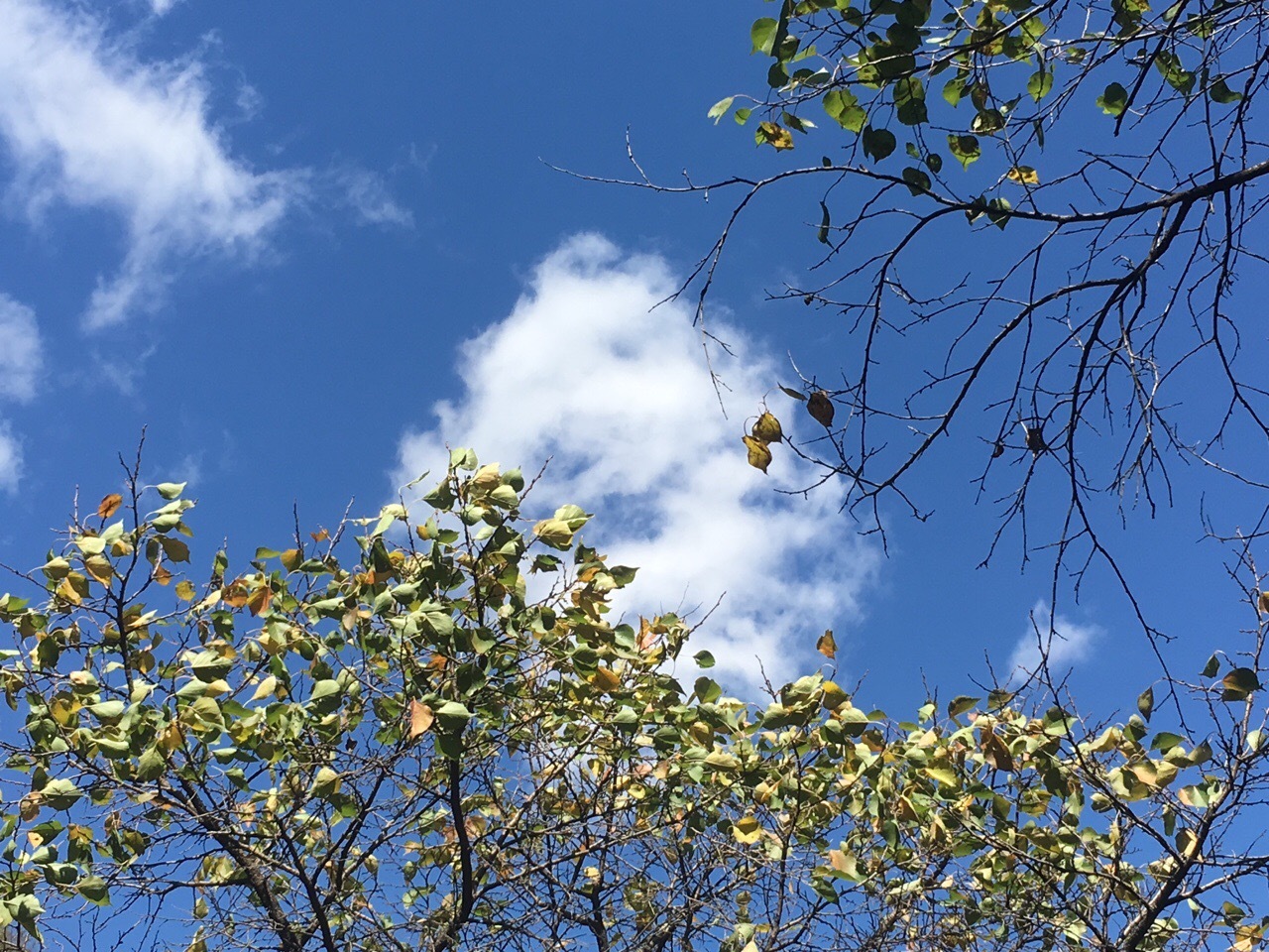 北京神泉峡的秋天