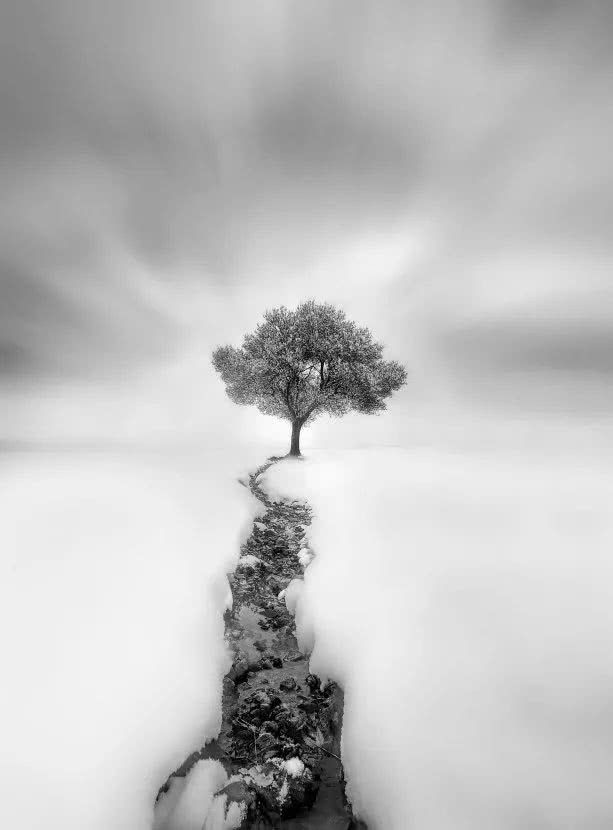 quanhui liu第三名:yousife thyabgeneral/colour组:第一名:丁祖和第