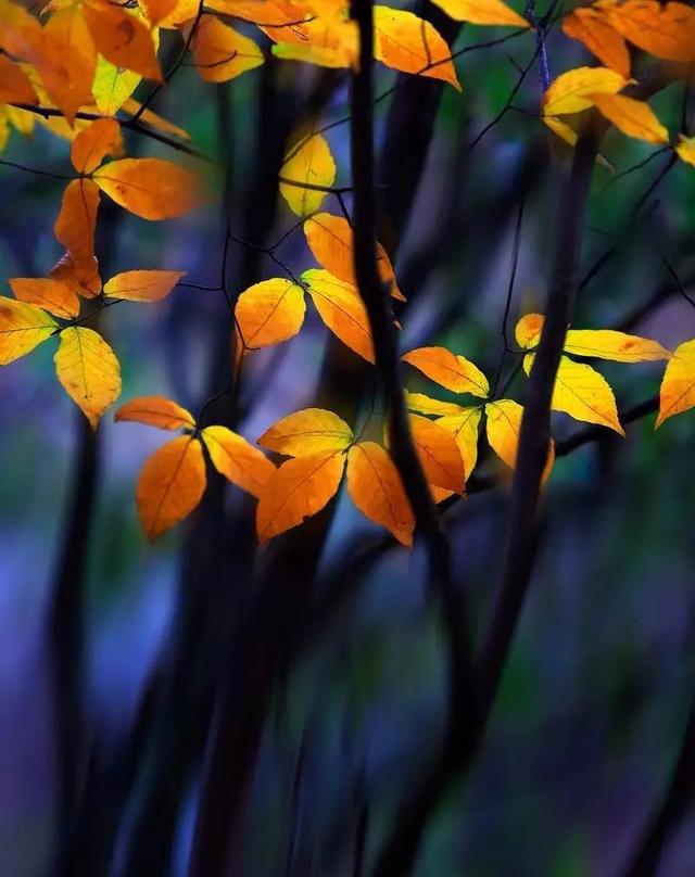 我拍摄冷暖对比大片的5个场景方法|拍摄|冷暖|摄影_新浪新闻