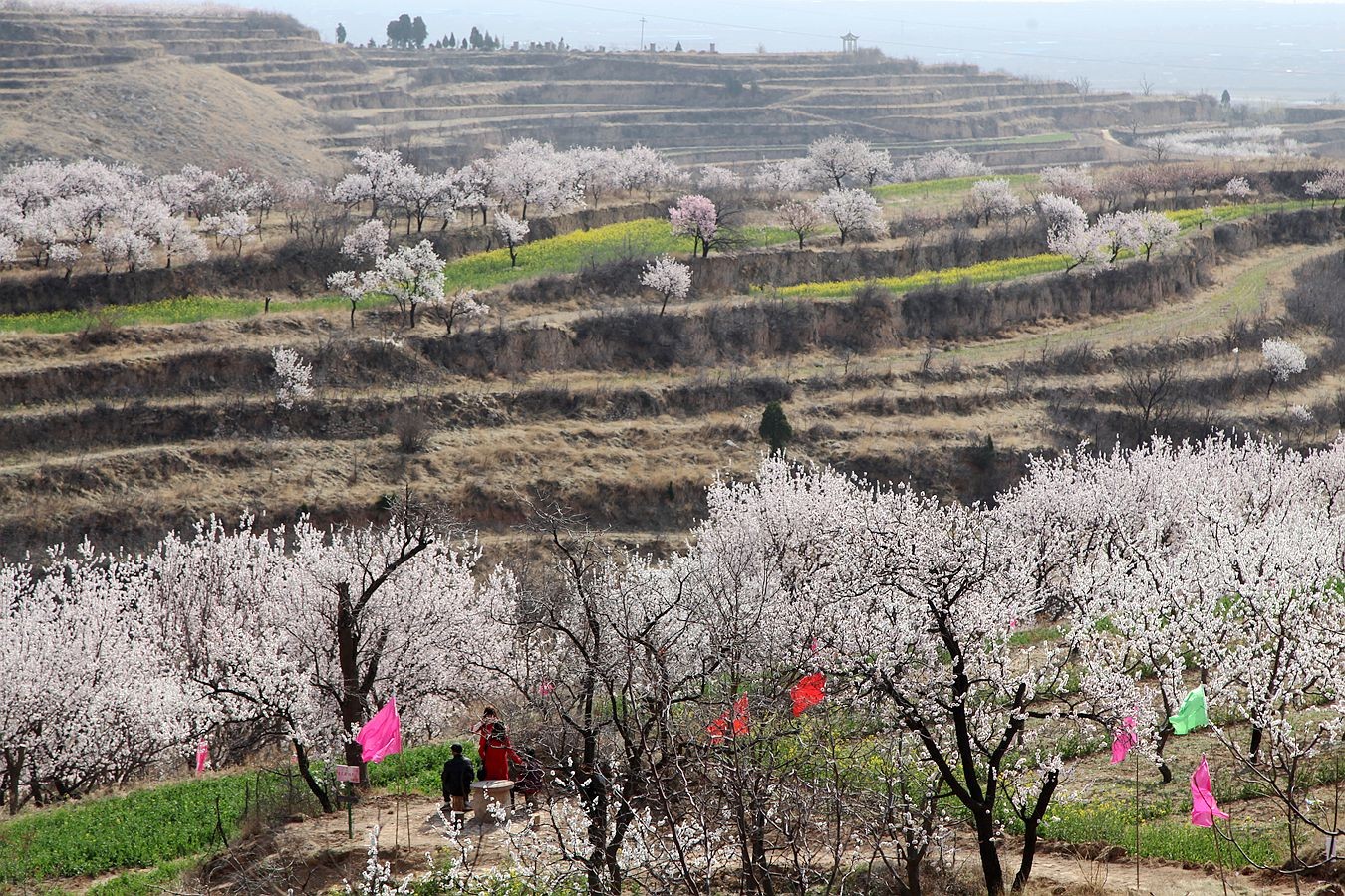 人说山西好风光,杏花村里有人家