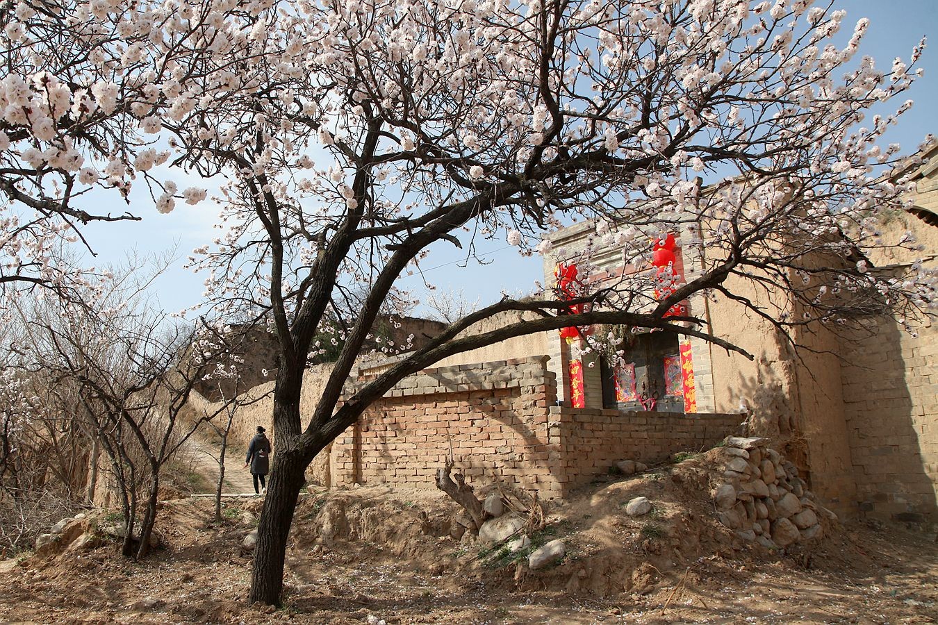 人说山西好风光,杏花村里有人家