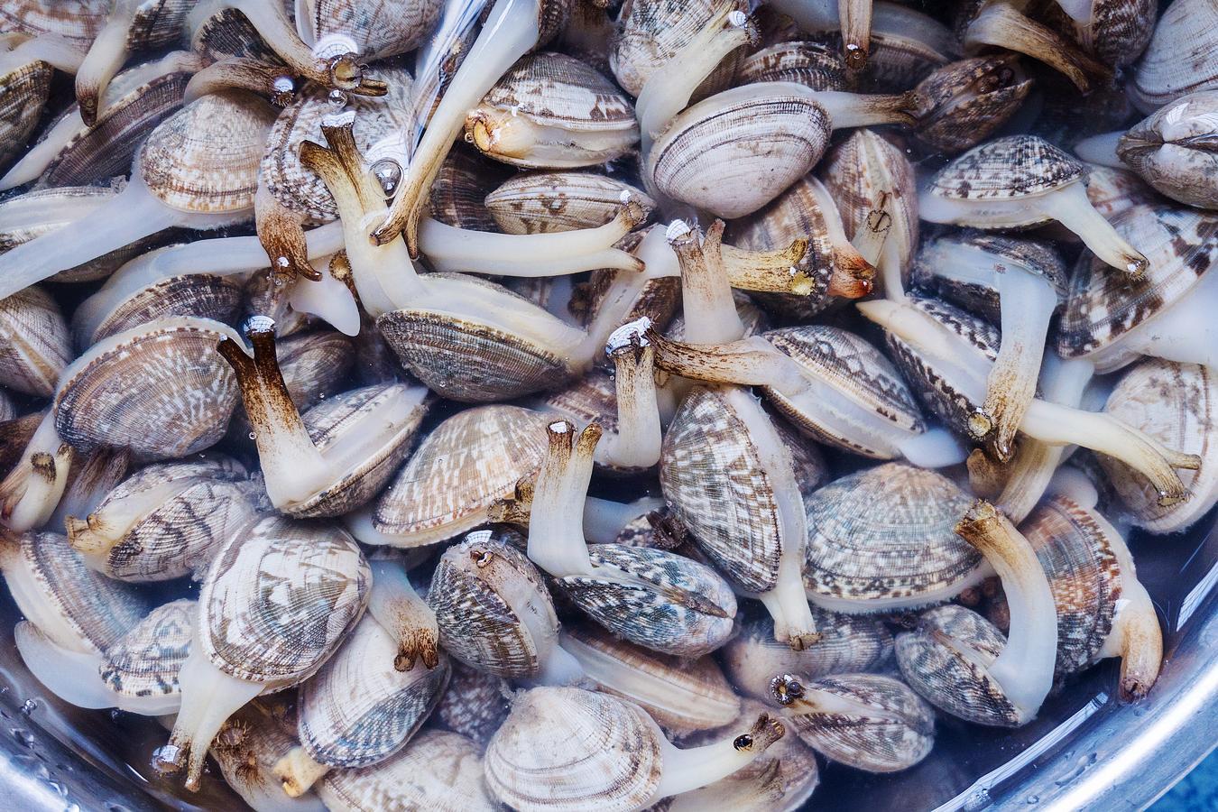 辣炒花蛤要不要先焯水?很多人错了这一步,难怪不好吃|花蛤|泥沙|水盆_