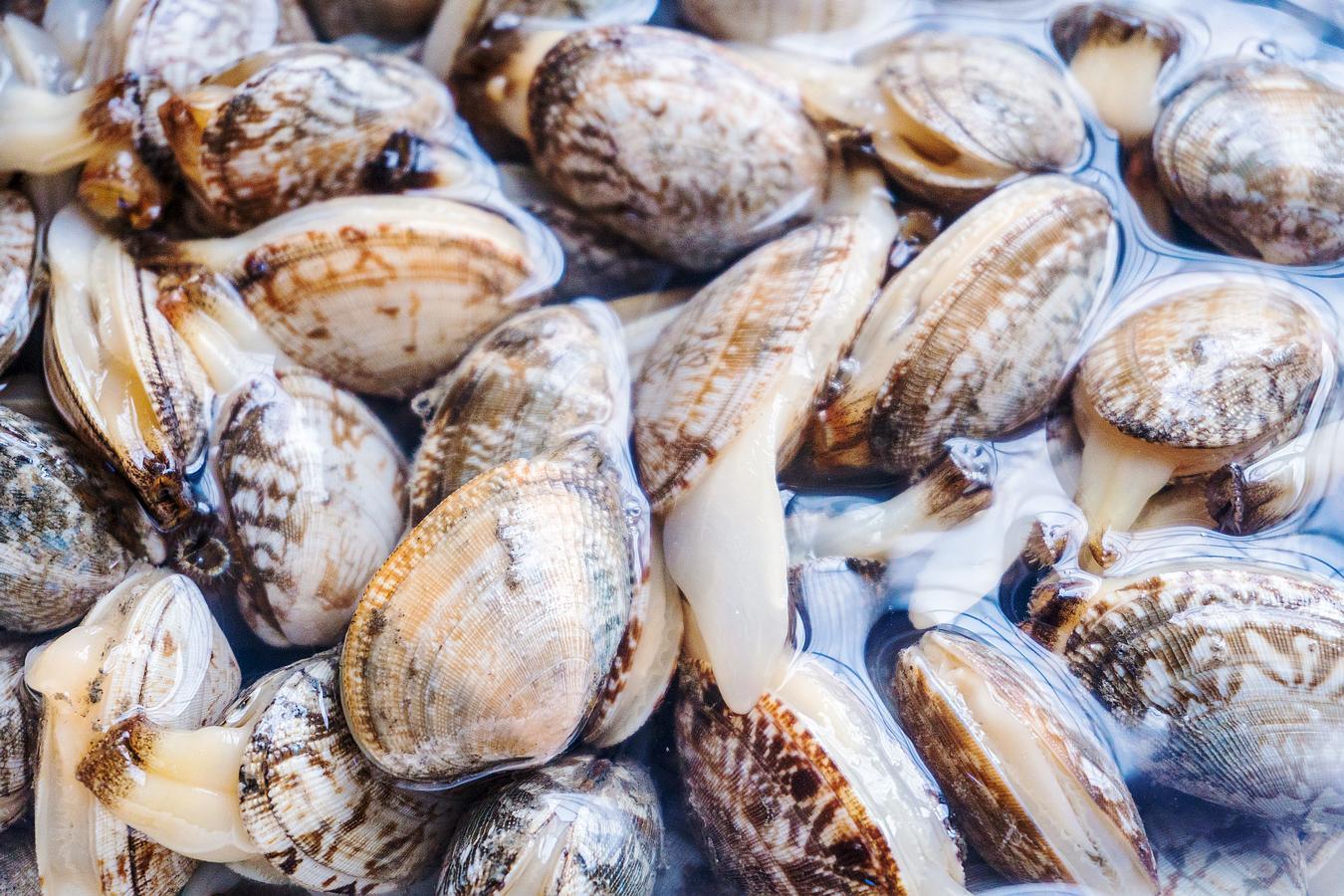 辣炒花蛤要不要先焯水?很多人错了这一步,难怪不好吃|花蛤|泥沙|水盆_