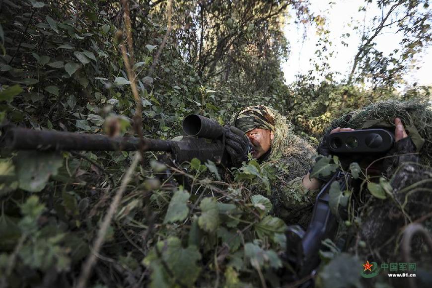 原因一般人想不到|狙击手|观察员|深入敌后_新浪新闻