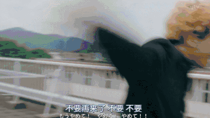 日剧《我是大哥大》:全员沙雕的剧我不允许你