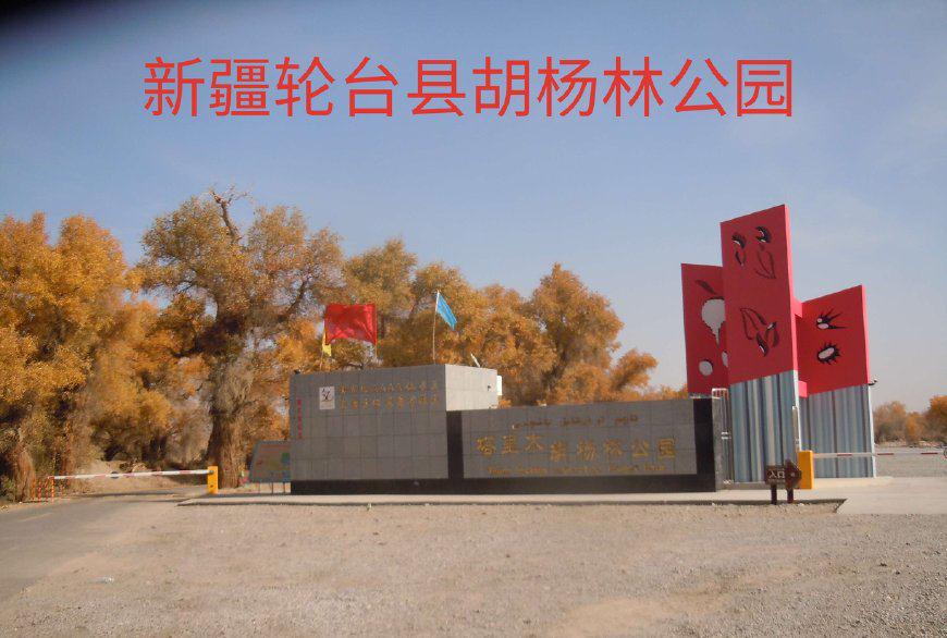 从新疆的库尔勒市到轮台县胡杨林公园沙漠公路的一路风光观赏