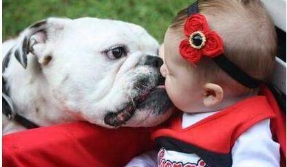 狗狗突然朝小主人方向扑去, 凶狠的撕咬起来, 奶奶却大喊好样的!