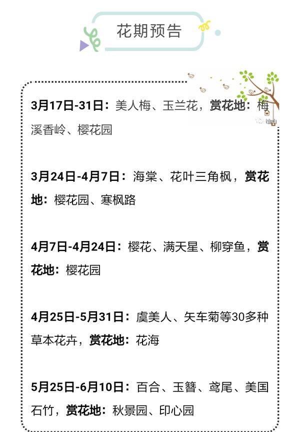 2018上海赏花游记花开海上生态园
