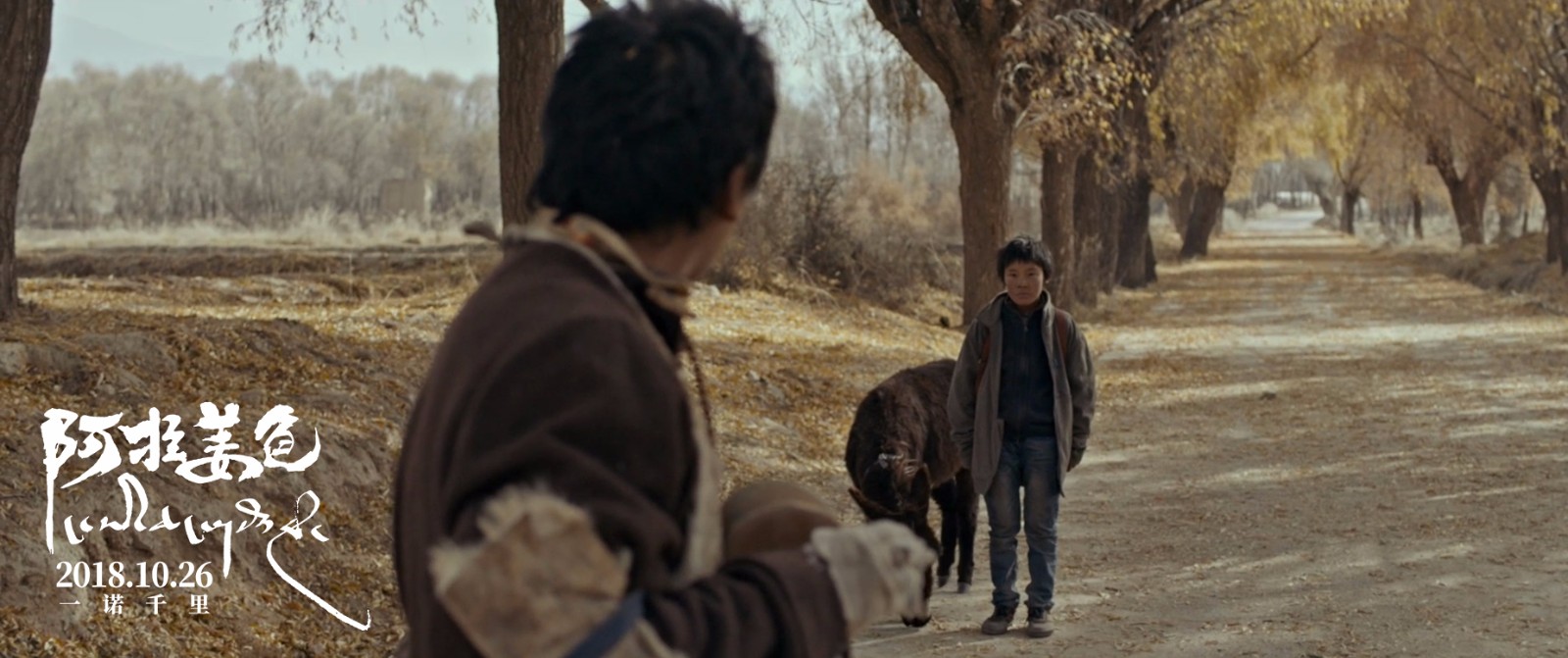 藏语电影《阿拉姜色》曝终极预告 10.26见证叛逆少年变形记