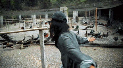 433_240gif 动态图 动图