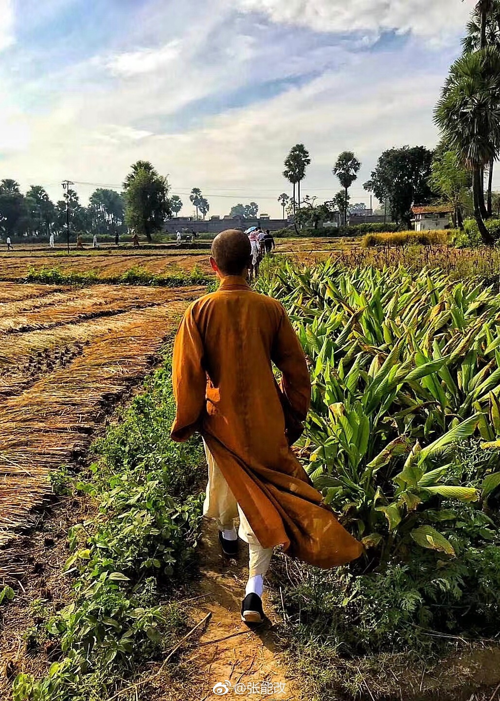 一瓣净心可资寿一袭衲衣寄清寒