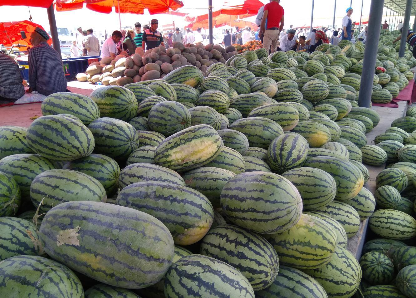 到了新疆我只想做一个吃瓜群众