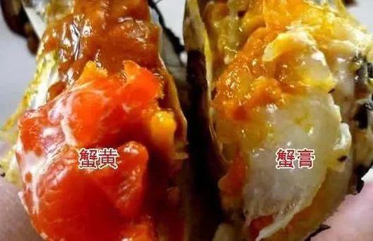 螃蟹公的好还是母的好海鲜老板说漏嘴挑错了吃的全是油