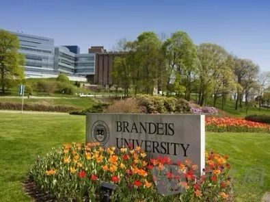 难以置信!没有GRE和GMAT成绩照样可以读研