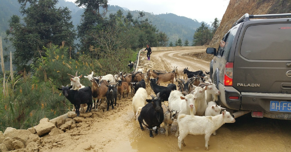 人与自然的和谐统一走进贵州省黔东南苗岭腹地领略原生态美